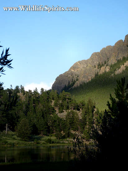 Click Picture to send as an  E-PostCard 64k 412x550